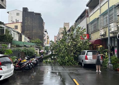 大雷雨炸裂 台中树倒压毁汽机车！民众惊：做台风吗？｜壹苹新闻网