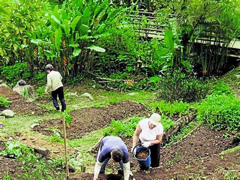 El Acceso A La Tierra Y La Formalización De La Propiedad Economía