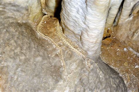 Hidden Treasures at the Avshalom Stalactite Cave - The Israel Guide