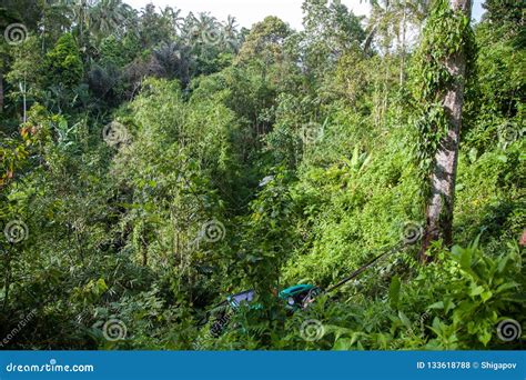 Bali Indon Sia De Mar O De Suv Na Selva Tropical Foto De Stock