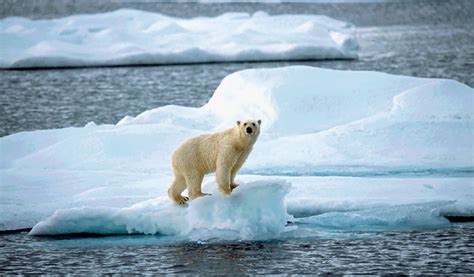 Changement Climatique