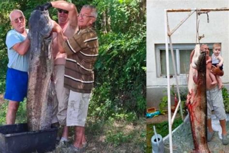 Pravi kapitalac Izvukao soma koji vaga više od 100 kilograma