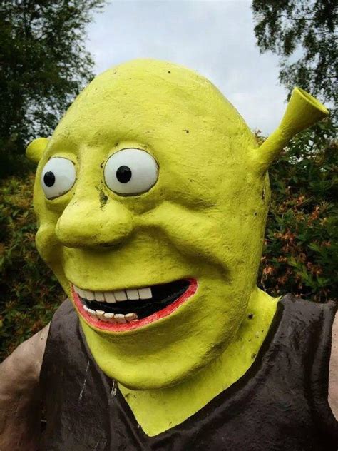 Cursedshrek Rcursedimages