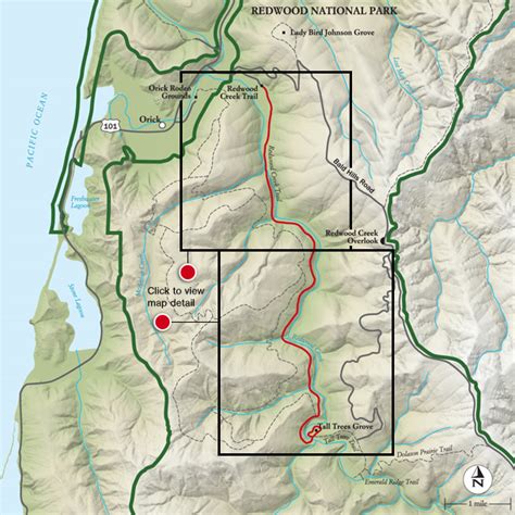 Camping Info: Trails and Maps - Redwood National Park