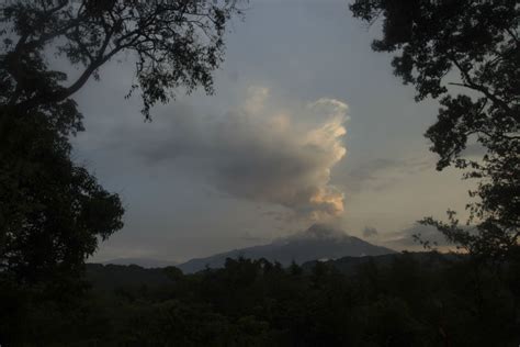 Permanece Semáforo En Amarillo Por Actividad Del Volcán De Colima 24 Horas