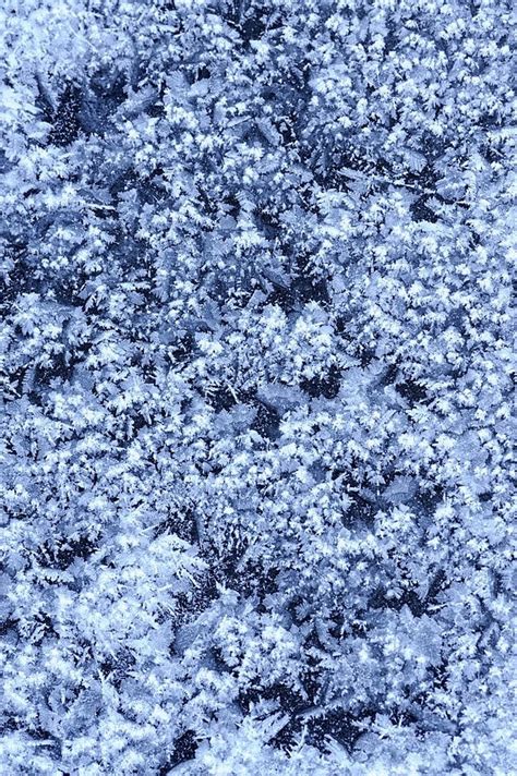 Frost Texture Abstract Background Frosty Photo And Picture For Free ...