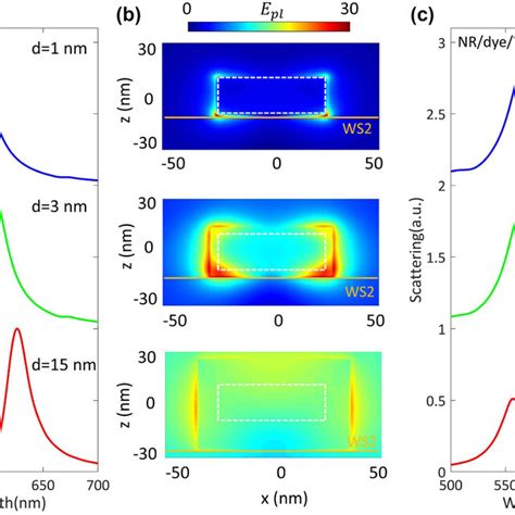 Analysis Of Mode Competition For Ws Dye Au Ag Nanocavity Coupled