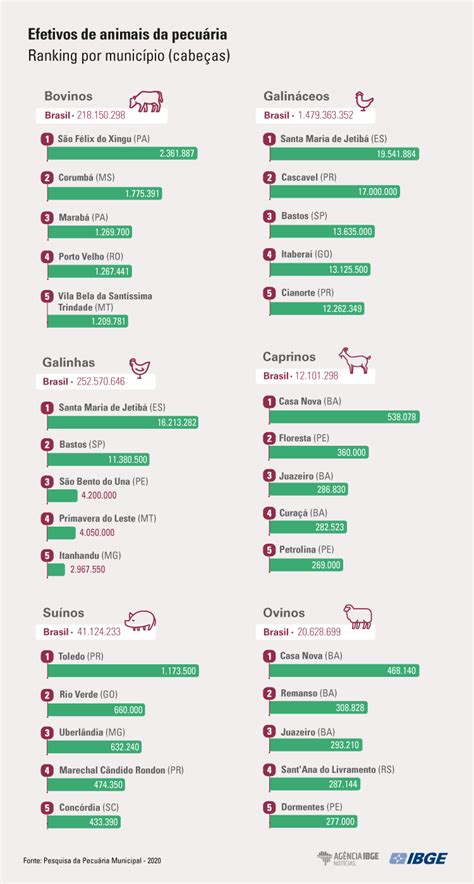 Rebanho bovino cresce 1 5 e atinge 218 2 milhões de cabeças em 2020