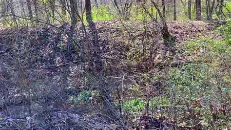 Ground Video Of A Natural Spring Acres Of Owner Financed In The