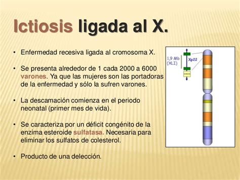 Ictiosis qué es Causas síntomas tratamiento y mucho más