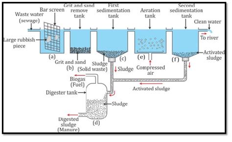 Sir Please Explain Wastewater Treatment Plant Process To Clean Water