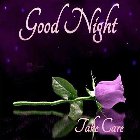 Good Night Purple Rose Take Care Cute Good Night Romantic Good Night