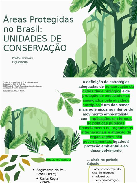 O Objetivo Principal De Uma Unidade De Conservação É - Unidades de Conservação no Brasil | PDF | Sustentabilidade | Ambiente ...