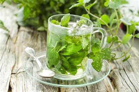 Las Infusiones De Plantas Medicinales Con M S Minerales