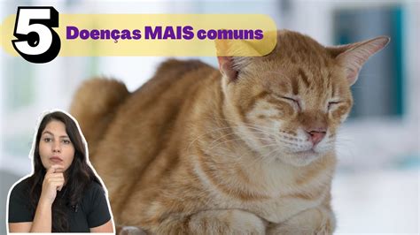 Doen As Mais Comuns Em Gatos Seu Gatinho J Teve Alguma Dessas