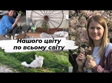 КВІТИ ДЛЯ ВІЛЬНИХ ЛЮДЕЙ В США! Квітуча весна, смаколики з пекарні. Моя ...