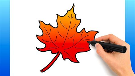 How To Draw A Simple Maple Leaf