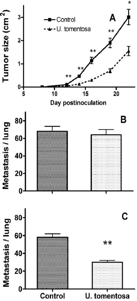 Figure From An Ethanolic Extract Of Uncaria Tomentosa Reduces