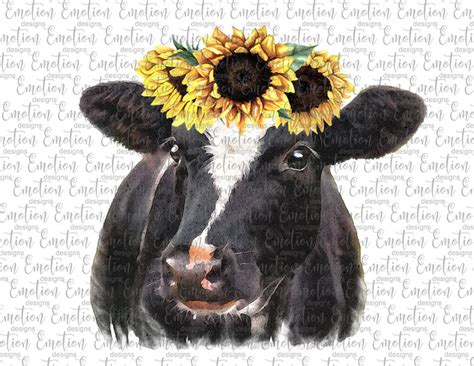 Black And White Watercolor Cow Sunflowers Original Art Etsy