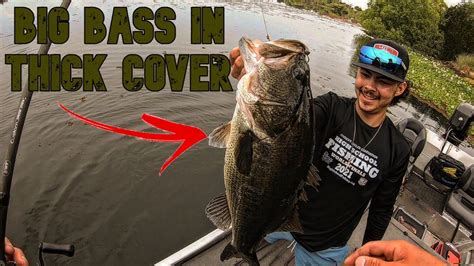 Smashing Big Bass On Frogs And Punch In Insane Thick Cover Big Bass