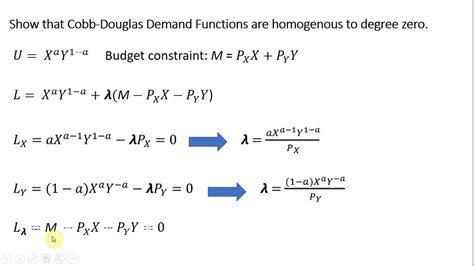 Cobb Douglas Demand Functions Are Homogeneous To Degree Zero YouTube