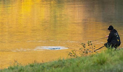 Ouverture 1ère catégorie corégone Fédération de pêche de Meurthe et