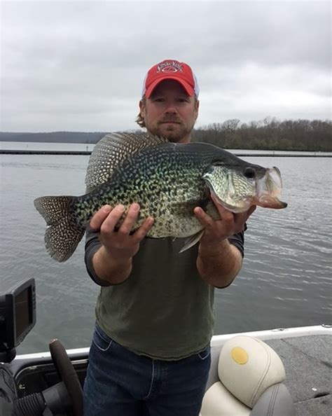 State Record Crappie Caught At Kinkaid Lake Local News