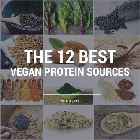 The Definitive Guide to the 12 Best Vegan Protein Sources | Yuri Elkaim