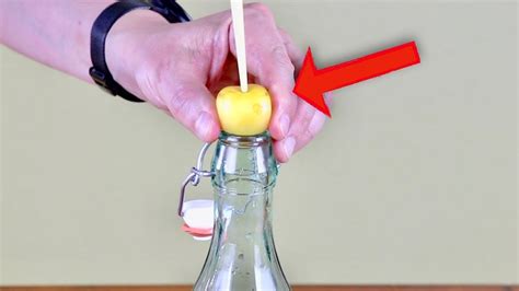 How To Pit Cherries Without A Cherry Pitter Youtube