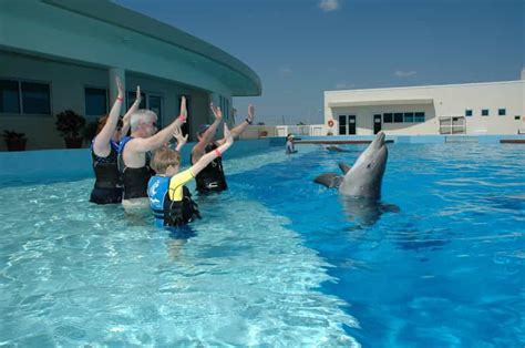 St. Augustine: Marineland Dolphin Encounter | GetYourGuide