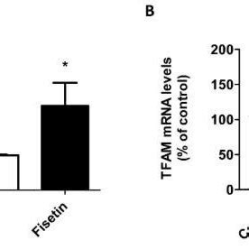 Effect Of Fisetin On Pgc And Tfam Gene Expression In Sh Sy Y Cells