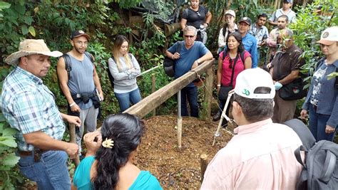 FAO HONDURAS On Twitter RT FAOBrasilCoop Brasil Guatemala El