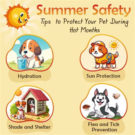 Pets Summer Safety Tips How To Keep Your Pets Safe During The Hot