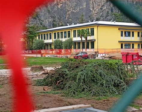 Rifacimento Climbing Stadium Di Prabi Abbattuti Gli Alberi Del Parco