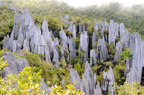 Discover Sarawak The Worlds Most Exotic Island Sarawak Tourism