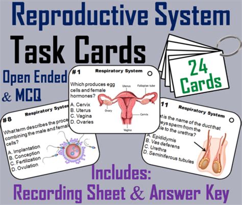 Reproductive System Task Cards Human Body Systems Task Cards Teaching Resources