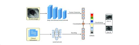 The Processing Flow Of Our Deep Convolutional Neural Network