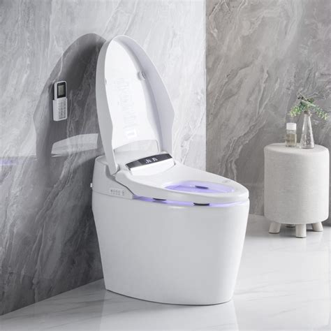 Toto Toilet Bowl Review 2024 Starke Living