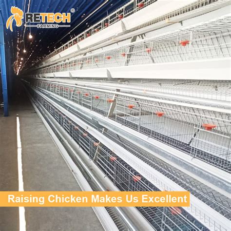 A Type Automatic Poultry Equipment Laying Hens Layer Chicken Cage