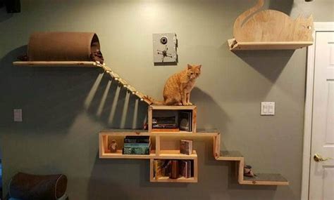 20 Diy Cat Shelves Ideas To Climb And Relax The Newlywed