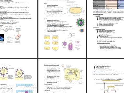 Snab A Level Biology Topic 6 Notes Teaching Resources