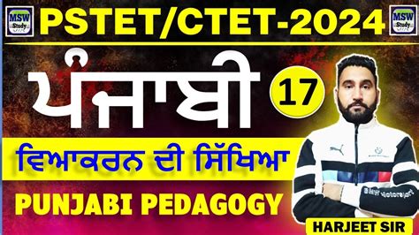 Punjabi Pedagogy Role Of Grammar Pstet Class