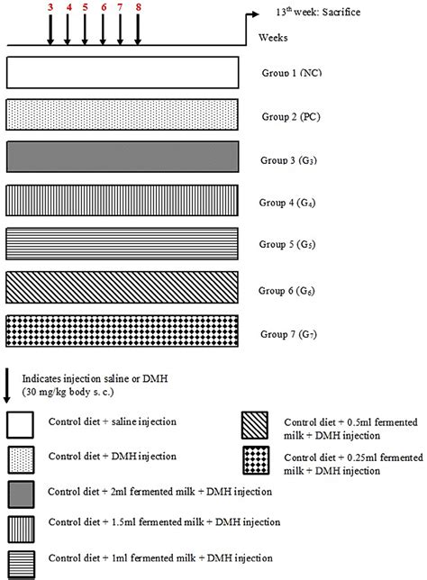 Representation of the experimental design. | Download Scientific Diagram