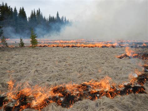 Prescribed Burn Planned In North Fork Glacier National Park U S National Park Service