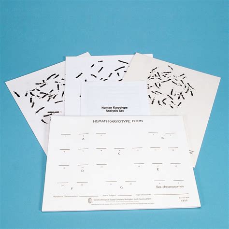 Human Karyotype Analysis Set | Carolina.com