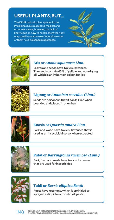 Nat’l Poison Prevention Week: Know your toxic plants, their uses ...