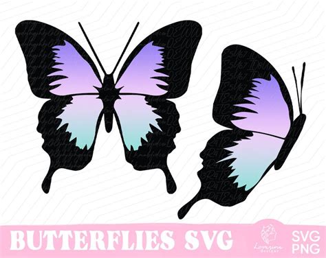 Butterfly Svg Butterfly Svg Bundle Layered Butterfly Svg Cut Etsy