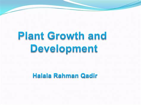 Plant Growth Anddevelopment1 Ppt