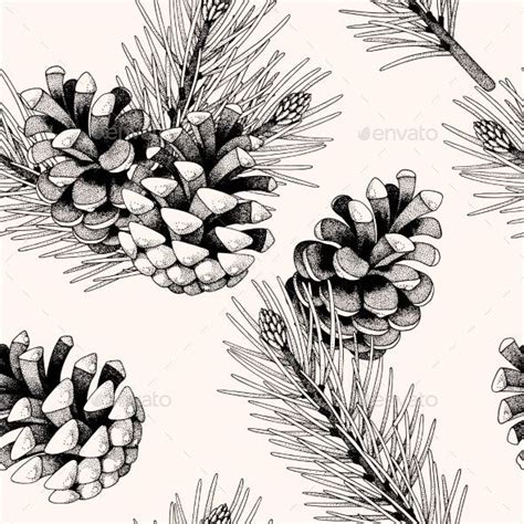 Pine Cone Drawing Engraving Illustration Botanical Art 473