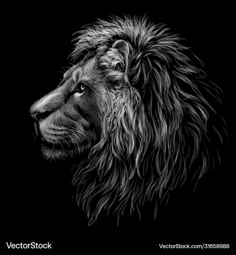 Lion Black And White Graphic Portrait A Royalty Free Vector